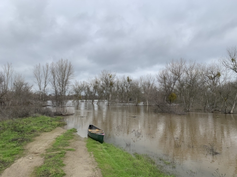 brown floodwaters cover the roots of trees. A canoe is on the shore where a dirt rode disappears into the water.