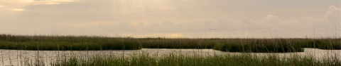 Clouds hang over a salt marsh on the Altamaha River