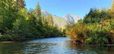 A calm river with trees on both sides and a mountain and blue skies in the distance.