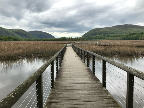 a boardwalk leads into a vast marsh with rolling mountains in the distance