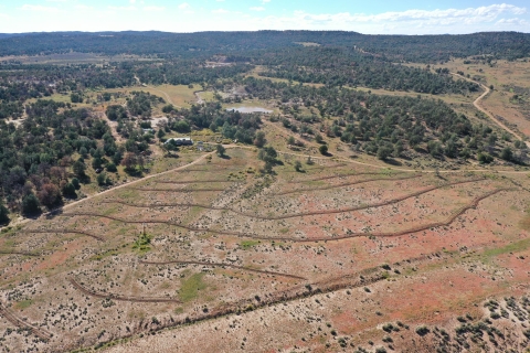 An aerial view of the pasture with trees and forested area seen in the distance