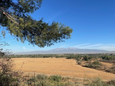 Looking down at grassland and a riparian area with a mountain in the background