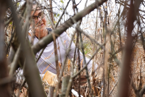 Woman viewed through numerous woody branches