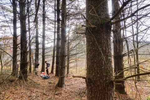Two people standing in a forest putting on gear