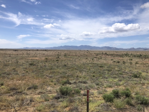 A grassland with a small fence visible towards the front 