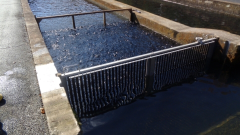 A bar grader inside a concrete pool called a raceway, that contains water and fish.