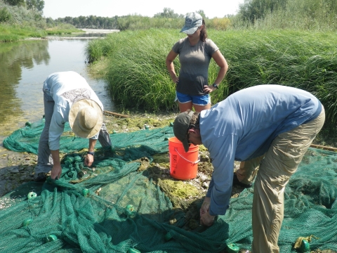3 researchers surveying by a river