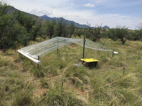 A rain shelter structure in a field