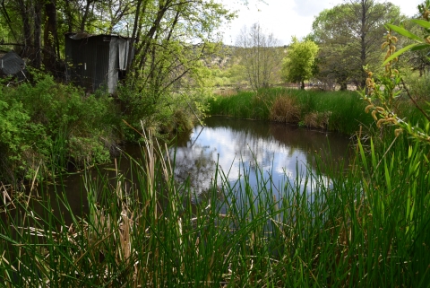 A body of water with a small hut next to it