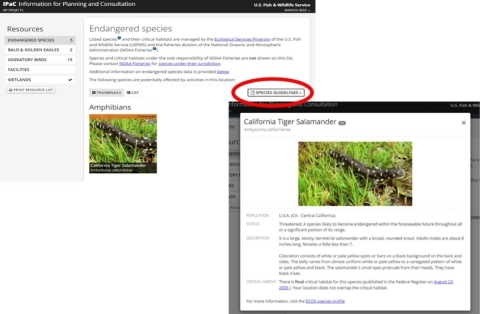 This image shows an example of the Endangered species page and a species information thumbnail that is available in the Resources list generated by IPaC for a project.