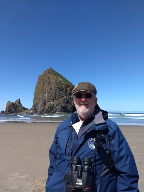 A man stands in front of a small rocky island in the shallow water of an ocean beach.