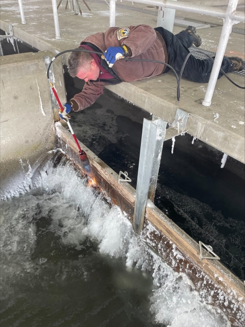 A man in a brown jacket lays on his stomach hold a blow torch down towards ice in a pond