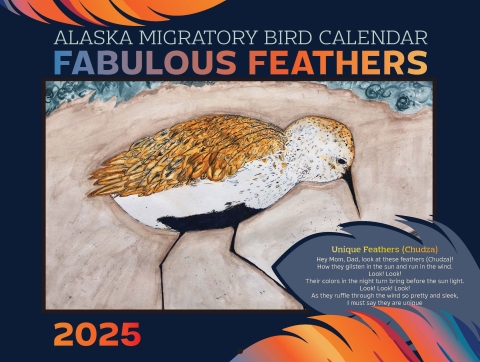 The 2025 Alaska Migratory Bird Calendar Fabulous Feathers with a drawing of a bird.