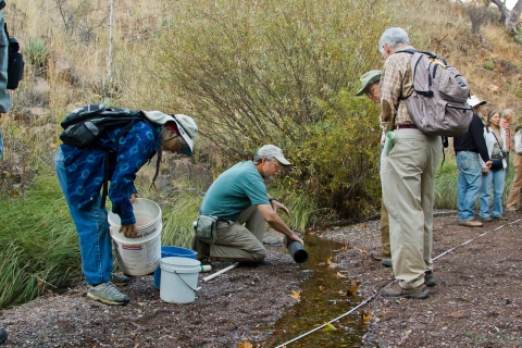 Individuals use materials to measure the flow of a small creek