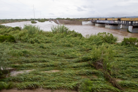 A flooded river with a structure on the water
