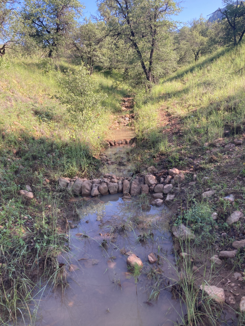 An erosion control structure with some areas covered in water 