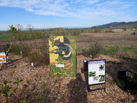 Wooden cut-out of a Bumble Bee for visitors to pose in