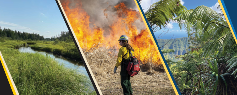 A photo collage featuring a creek in a grassy meadow, a firefighter standing in front of burning grasses, and a mountainous jungle with large palm trees and ferns.