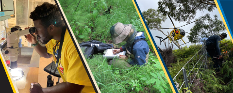 A photo collage featuring a young man looking into a microscope, a young woman kneeling in a grassy field and writing in a clipboard, and a helicopter landing on a hillside.