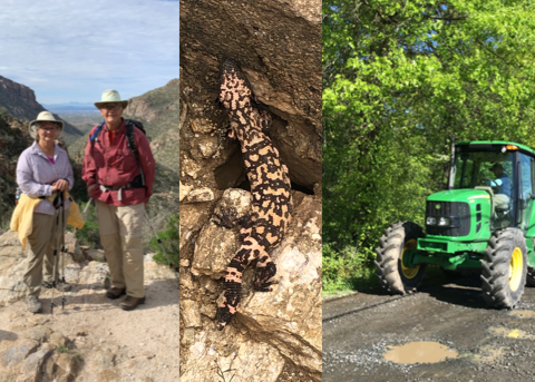 A three photo collage of Irene and Bill, a gila monster, and a man in a green tractor