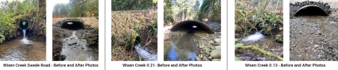 Side-by-side images show before and after comparisons of creek restoration at Wisen Creek sites: Swede Road, 0.21, and 0.13, highlighting changes in vegetation and structure along the creek with improved water flow and habitat.