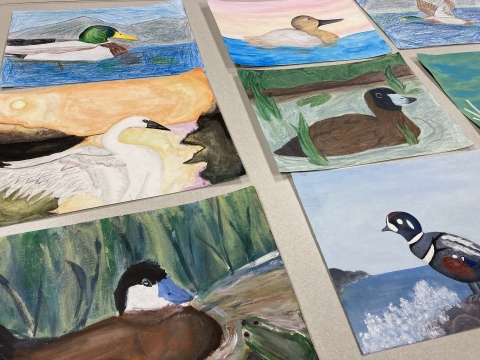 An image of eight pieces of artwork on a plain white table. The art depicts different duck and swan species.