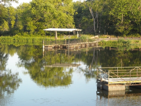 floating boat dock with shelter on lake with green tree foliage and grasses reflected in water