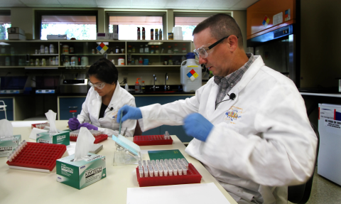 Two genetics laboratory staff in laboratory coats work on samples with shelves in the back and windows near across the back wall near the top of the ceiling. 