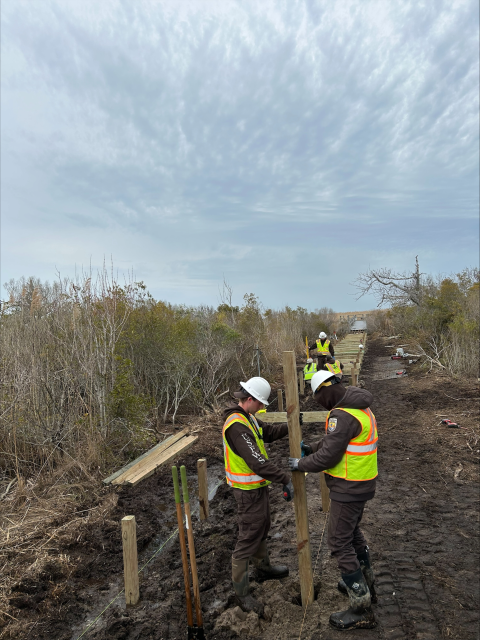 Men in yellow visibility vests work on a raised wooden structure in the mud