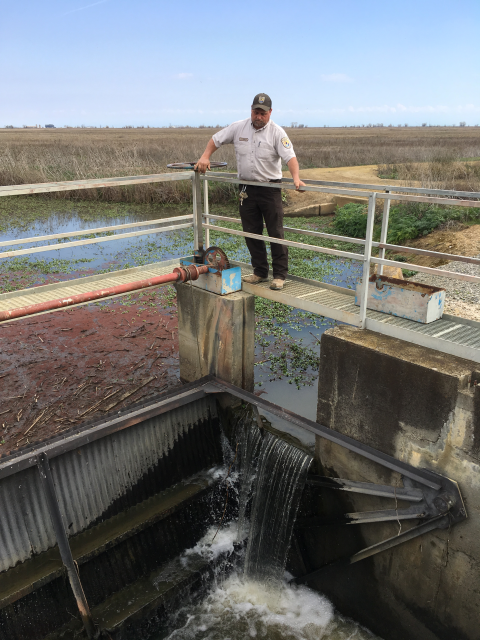 A refuge staff member is standing at the top of a water control structure, observing water flow below them.