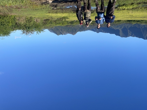 Pacific Fish and Wildlife Office biologists stand in the wetlands of Bellows Air Force Base. The mountains behind them are dark green and peak up like sentinels, while the wetlands are a lighter hue of green that contrast like the ocean and sky against the mountains. 