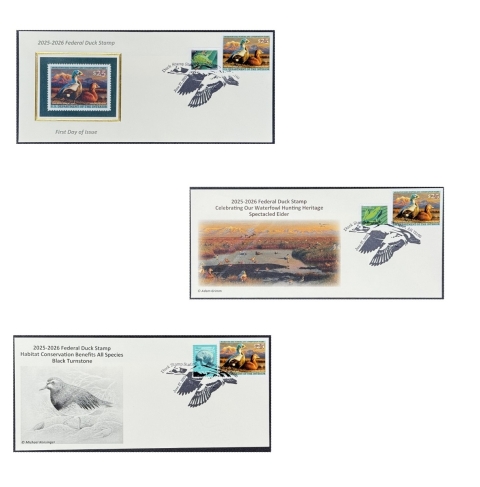 Covers duck stamp 2025-2026