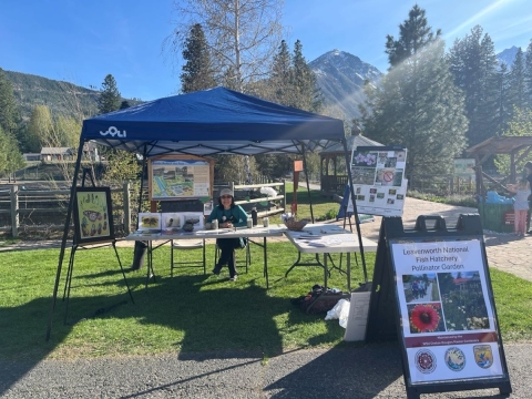 a woman sits at a booth set up with butterflies, flowers and informational handouts