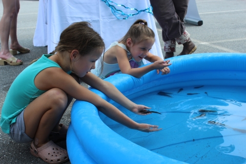 Children touching tadpoles in inflatable pool.