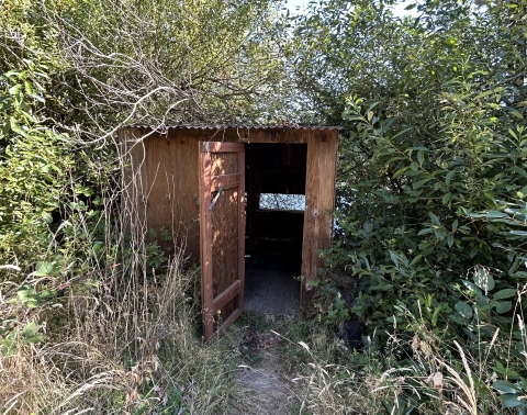 Photography blind surrounded by trees