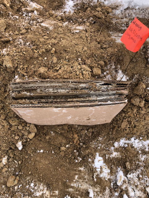 Sod analog block made of a moss slurry between sheets of cardboard.