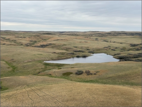 landscape with brown and green grass and a large pond in the middle