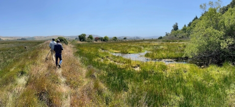 Coastal Program staff touring the project site at Tamales Bay in Marin County, California.