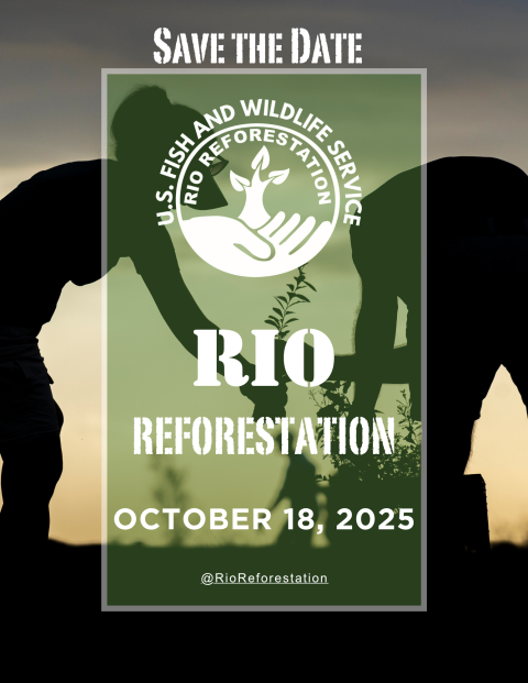 Save the Date flyer for Rio Reforestation 2025, hosted by the U.S. Fish and Wildlife Service. The image shows silhouettes of two people planting a tree at sunset. A green overlay contains the agency's logo with a hand holding a sapling, and text reading: 'Rio Reforestation, October 18, 2025.' Instagram handle @RioReforestation is at the bottom.