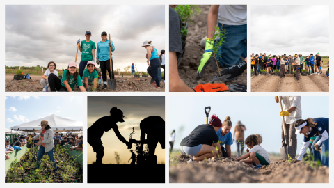 This is a collage of 6 pictures showing people of ages planting and using shovels & gloves. 