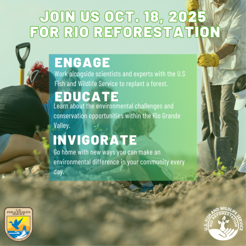 Promotional image for Rio Reforestation on October 18, 2025. Background shows people planting trees. Text overlay reads: 'Engage: Work alongside scientists and experts with the U.S. Fish and Wildlife Service to replant a forest. Educate: Learn about environmental challenges and conservation opportunities in the Rio Grande Valley. Invigorate: Go home with new ways to make an environmental difference in your community.' Logos of U.S. Fish and Wildlife Service and Rio Reforestation appear in corners.