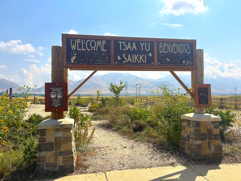 A sign arches over a walking trail and plants.
