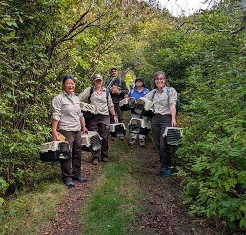 Group of staff with rabbits