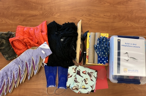 Build-A-Bird Education Trunk Materials