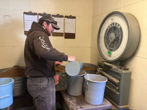A man pours pelleted fish feed into buckets sitting on an analog scale. 