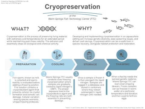 Cryopreservation is the process of preserving living material with extremely cold temperatures for an extended period while maintaining post-thaw viability.
