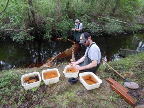 A person sitting next to a stream with four small containers of water and second person standing in the stream next to a net