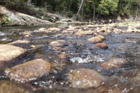Group of students in a rocky river