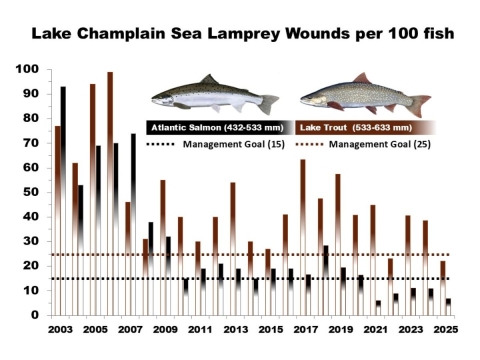 LCFWCO - SLC - 2025 Wounding Rate Graph