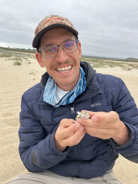Micah Ashford holds a western snowy plover chick